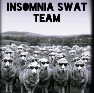 insomnia sheep