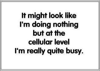 busy cells